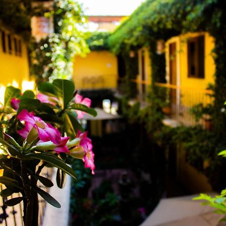 Hotel Dainzu Oaxaca Exterior foto