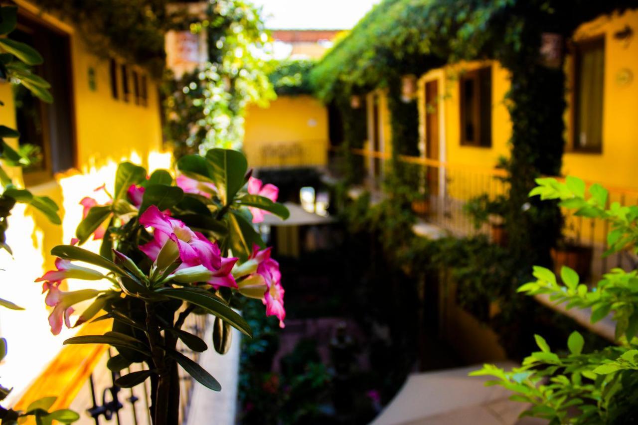 Hotel Dainzu Oaxaca Exterior foto